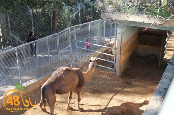 re7la 7eifa (68).JPG